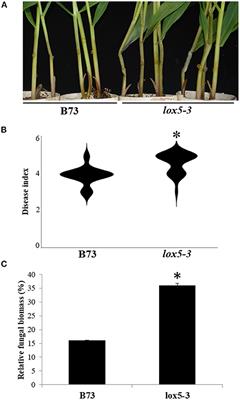 Transcriptome and Oxylipin Profiling Joint Analysis Reveals Opposite Roles of 9-Oxylipins and Jasmonic Acid in Maize Resistance to Gibberella Stalk Rot